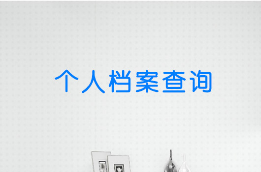 上海在线档案查询系统